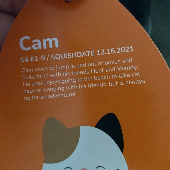Squishmallows Cam the cat Halloween plush - Picture 5 of 5